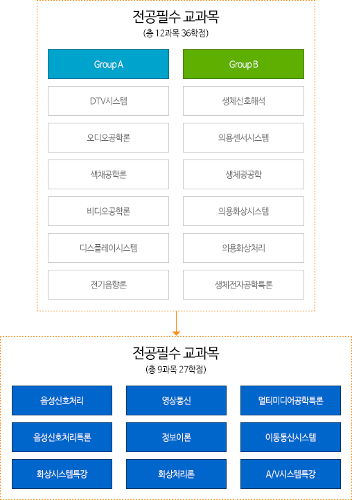 영상 및 의공학(Video System and Biomedical Engineering)